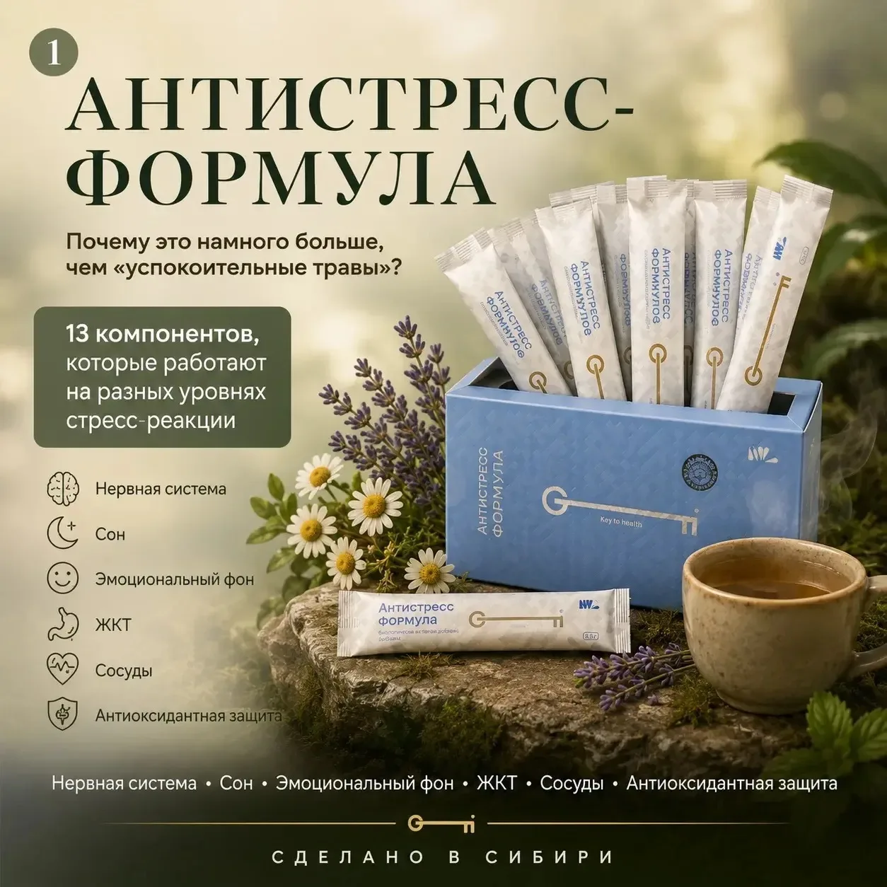 ЗНАКОМЬТЕСЬ СО СВОИМ СПОКОЙСТВИЕМ!