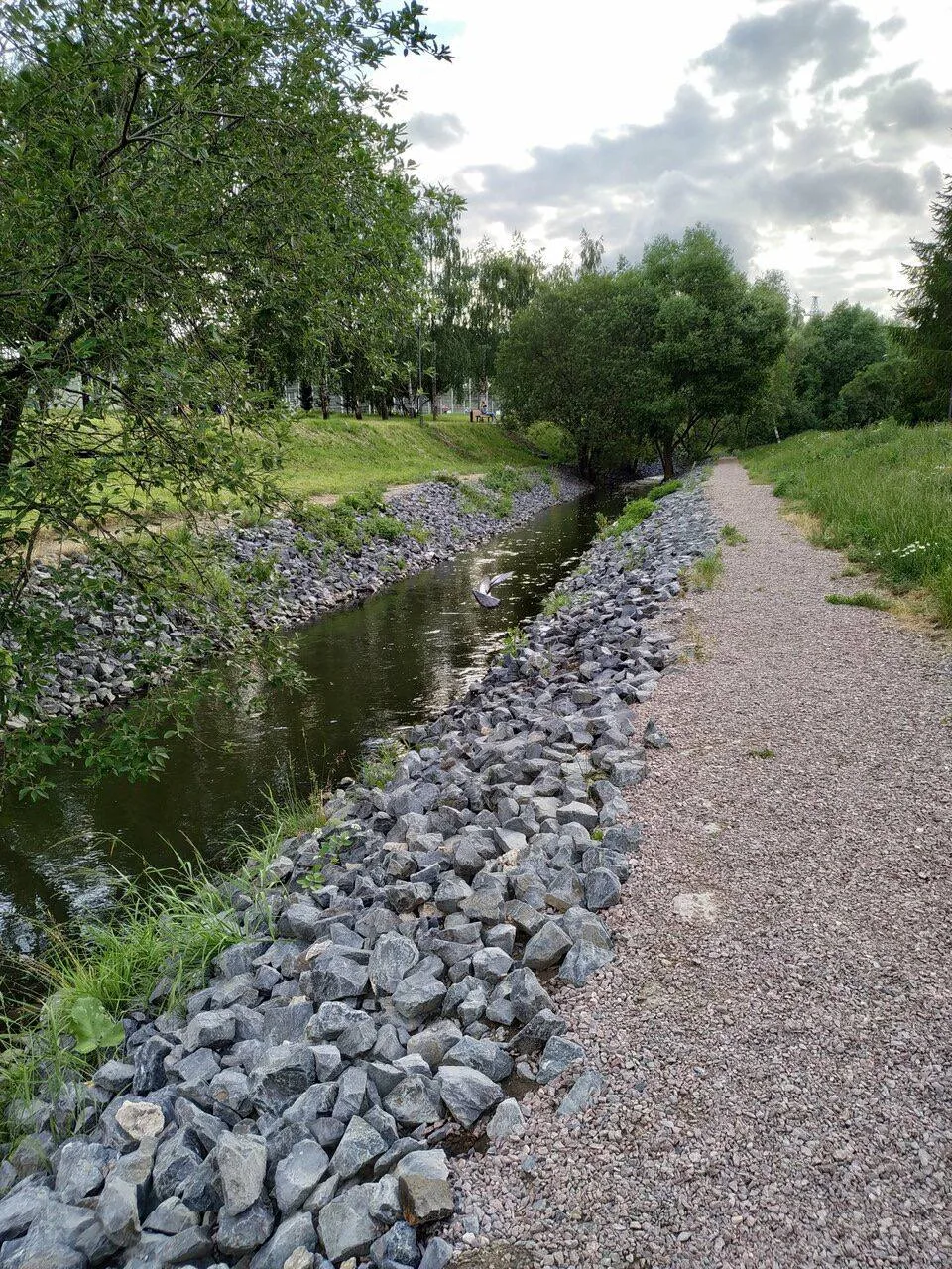 Привет из Бутовского парка 🌳