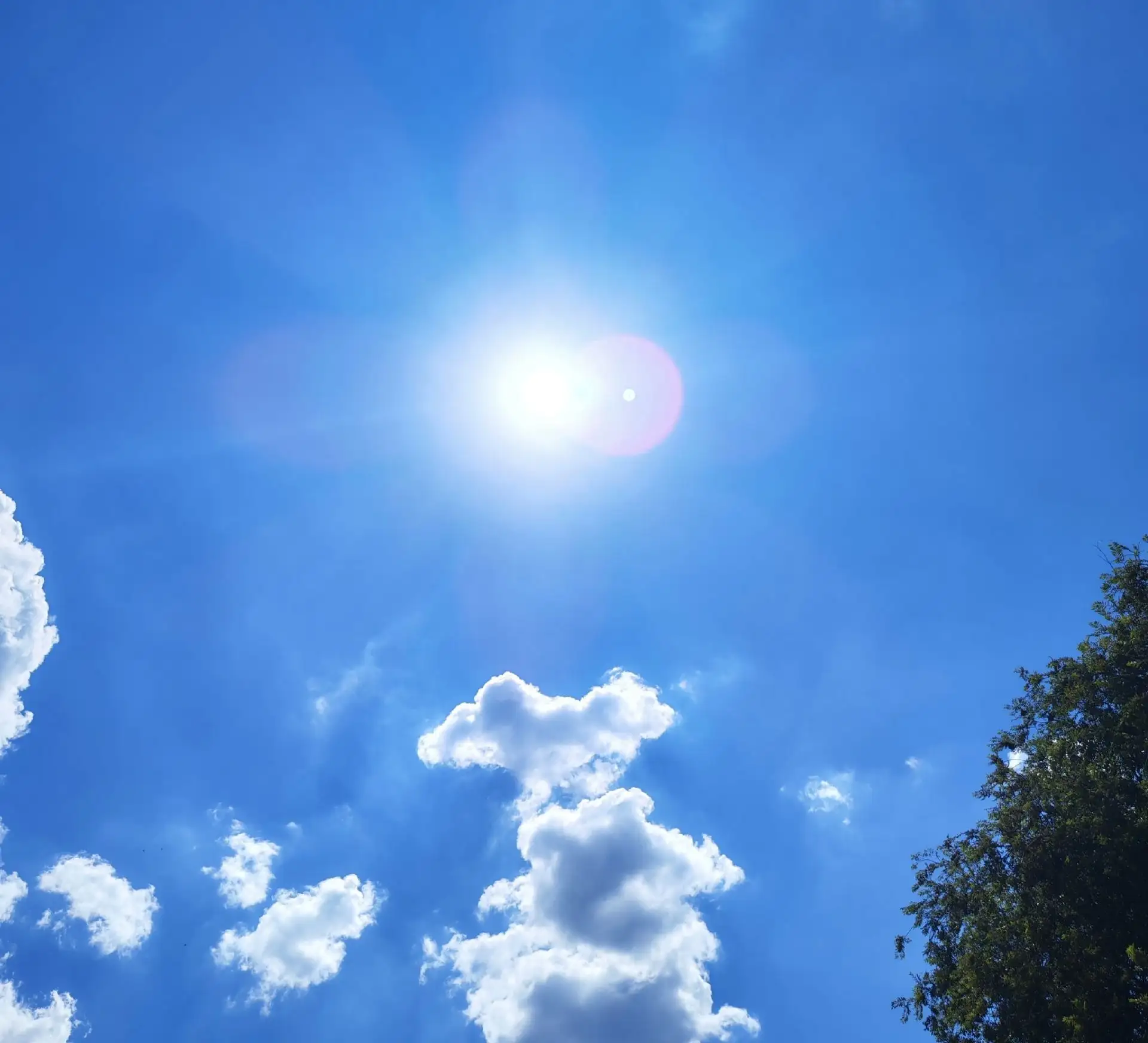 ☀️ Выходные в Астраханской области обещают быть жаркими

По данным региональных синоптиков, 25–26 ию