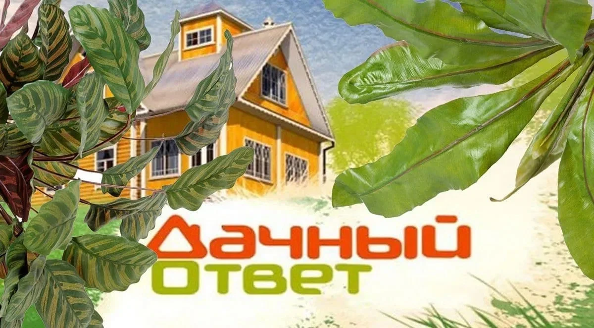 ❗️ДАЧНЫЙ ОТВЕТ ТЕПЕРЬ В МАХ  Отныне, превратить даже заросший участок в поместье по карману каждому 