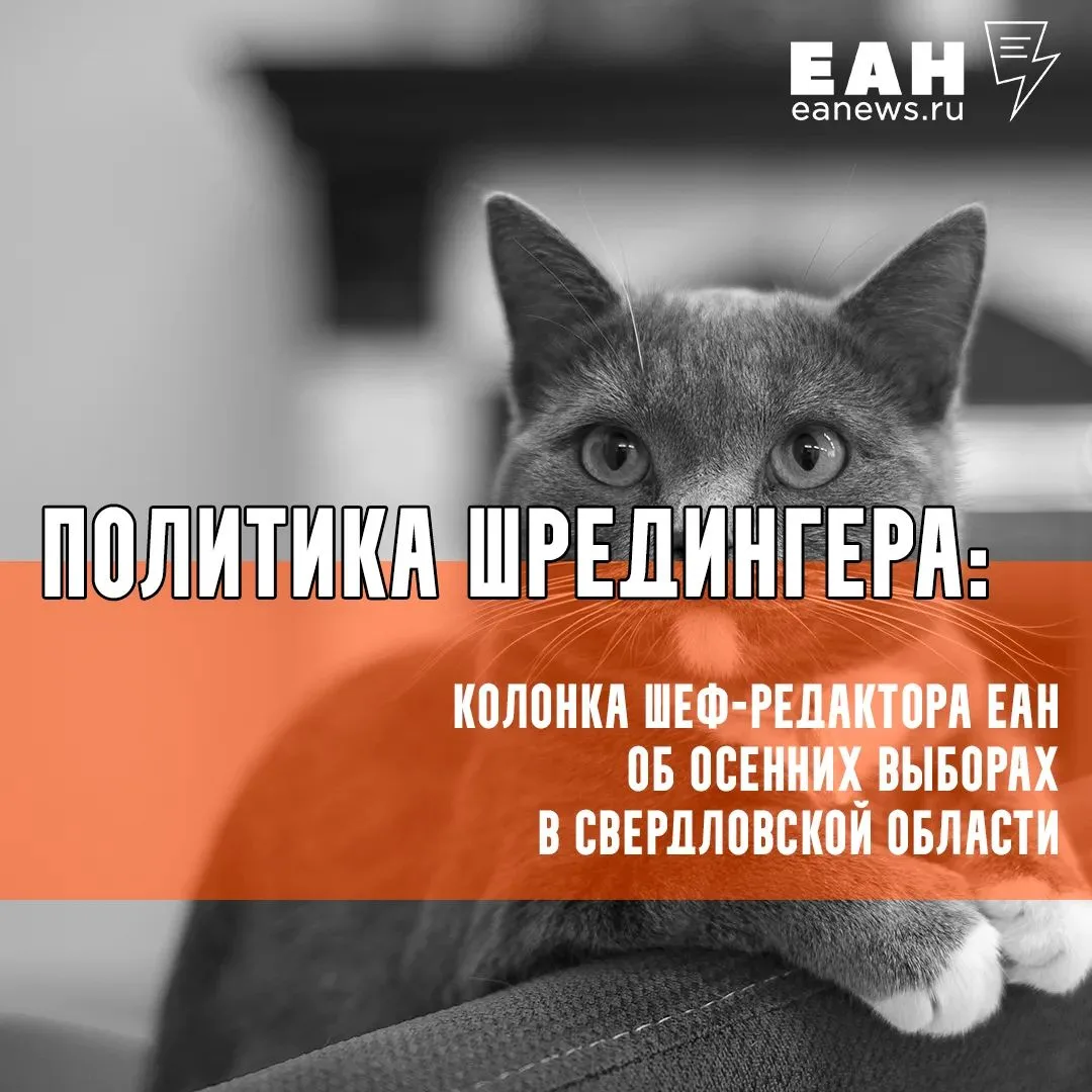 Политика Шредингера: колонка шеф-редактора ЕАН об осенних выборах в Свердловской области