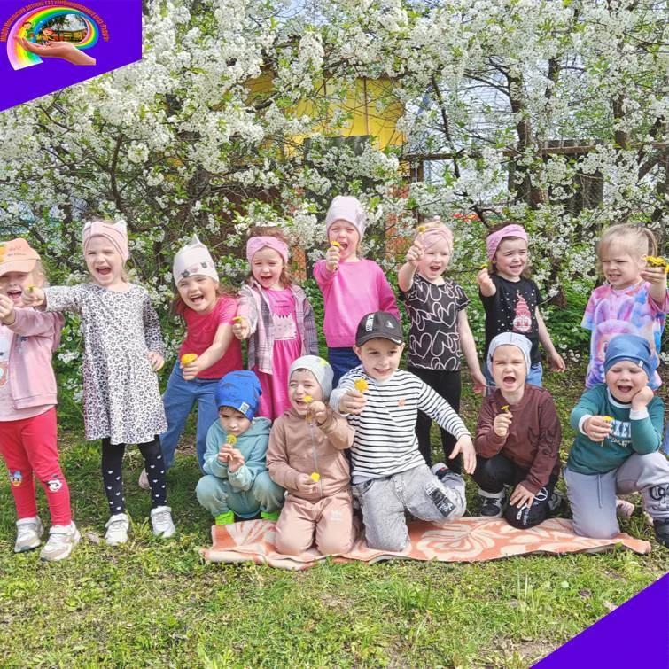13 мая отмечается праздник одуванчика — «кусочка майского солнышка».