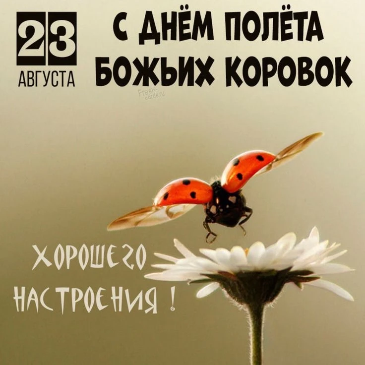 💌 Красивые открытки
