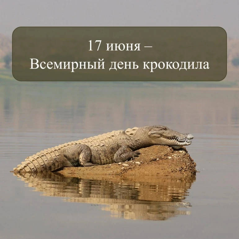 17 июня мы отмечаем Всемирный день крокодила, который призывает нас обратить внимание на угрозу исче