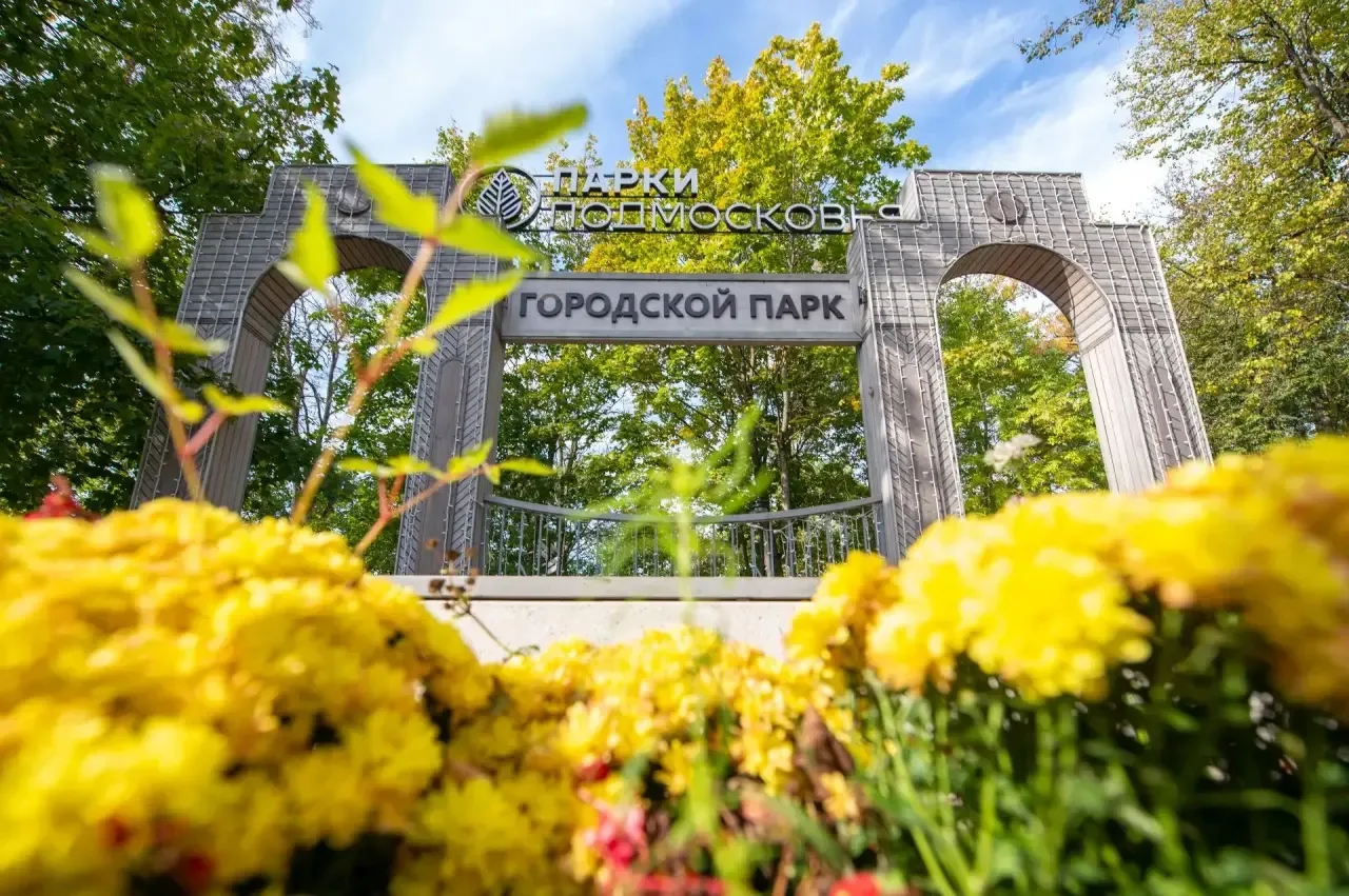 🌿 Доброе утро, друзья!