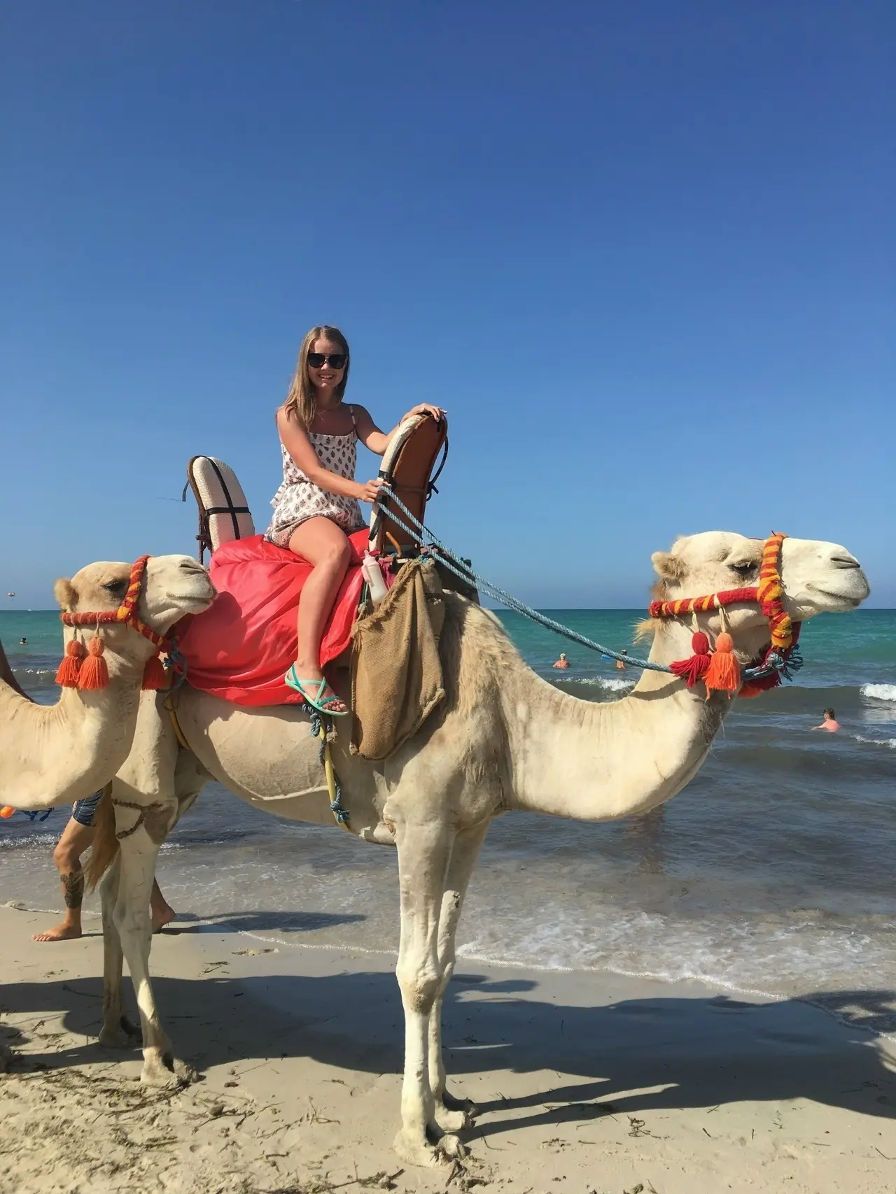 🏖 Тунис | август | классные предложения ☀