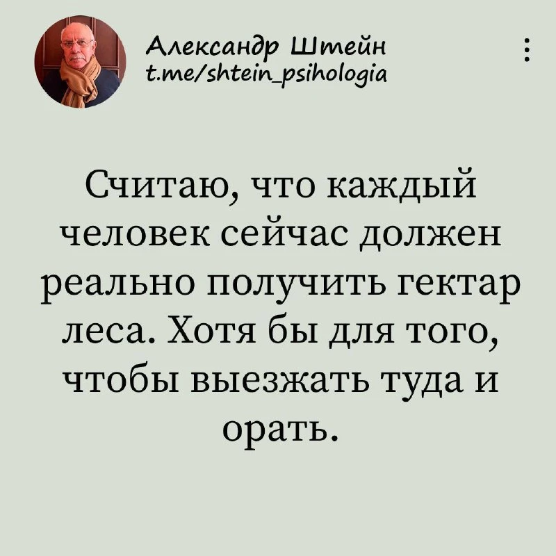 Александр Штейн