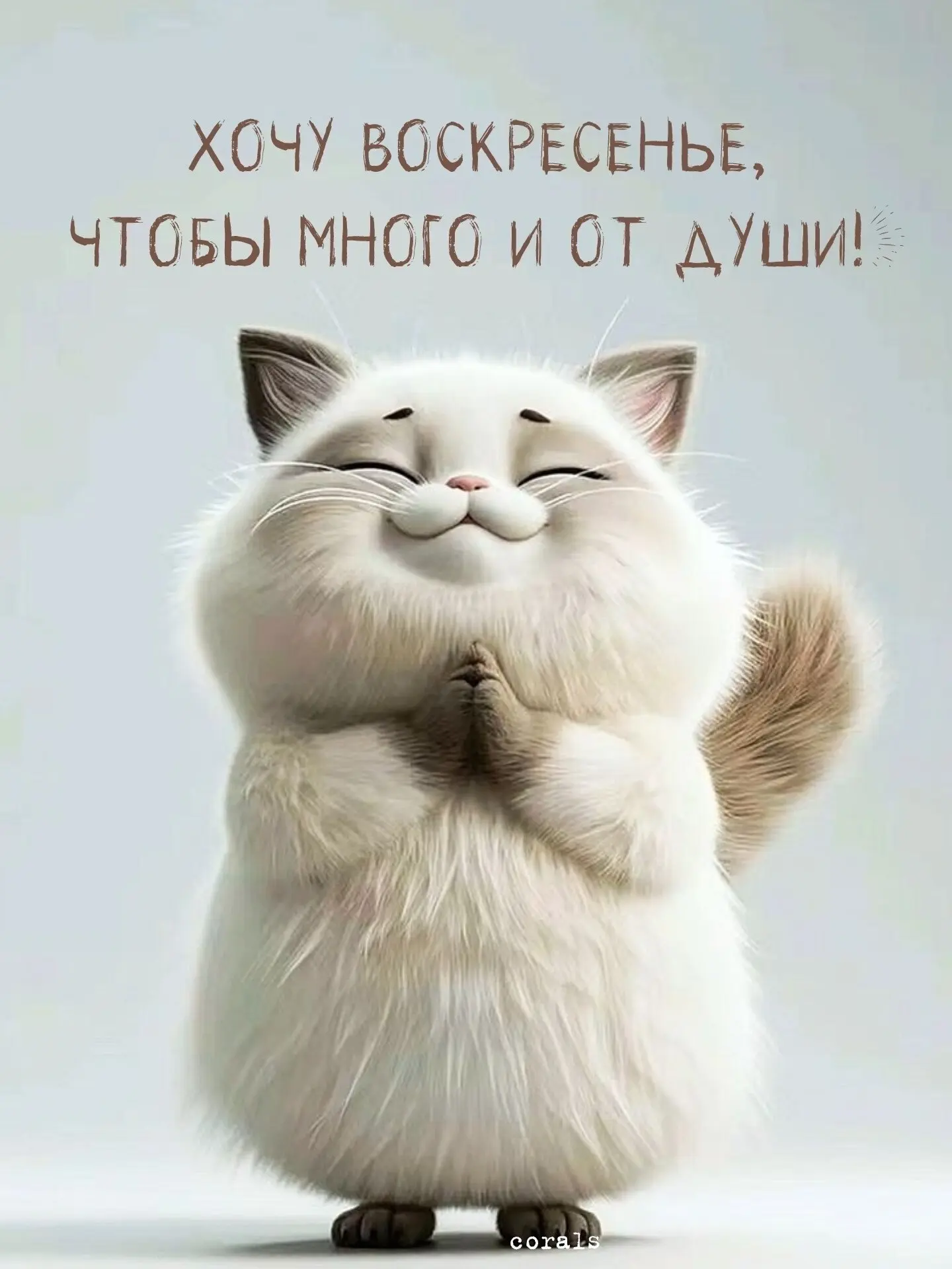 🇷🇺  Мы в МАХ : https://max.ru/dusha_angela_new