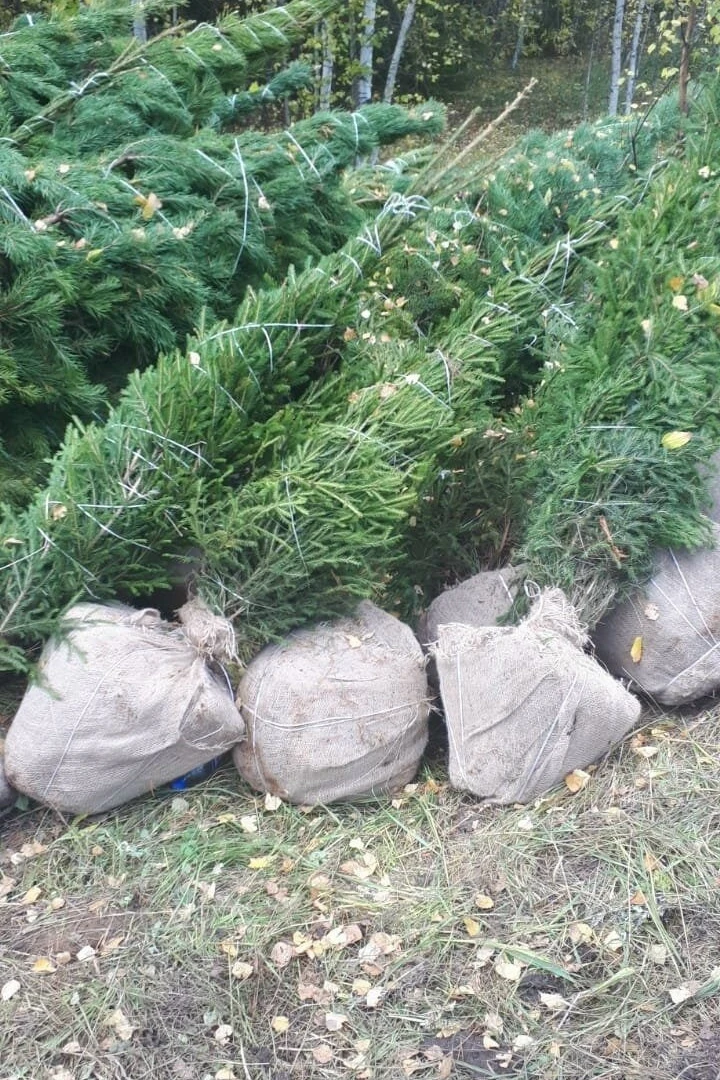 Вчера 09.09.2026 на странице одного из сообществ была опубликована информация о подгото...