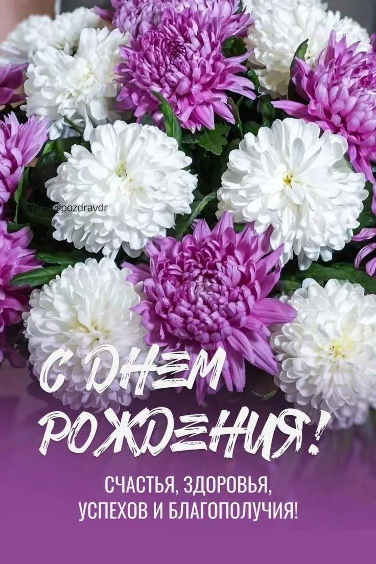 С днем рождения, уважаемая Эльза Амировна! Пусть день рождения станет еще одним красивы...