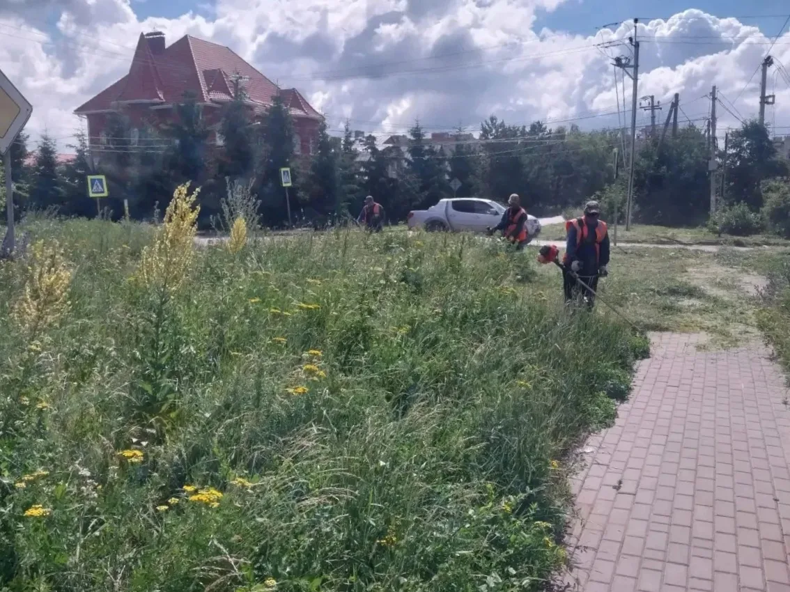 🌿Сорная растительность не дремлет, но и коммунальные службы не отстают. На сегодняшний...