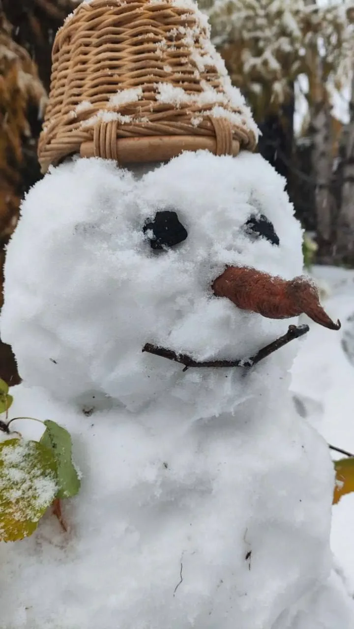 😍 Первый снеговик сезона: жители Югры вовсю радуются первому снегу