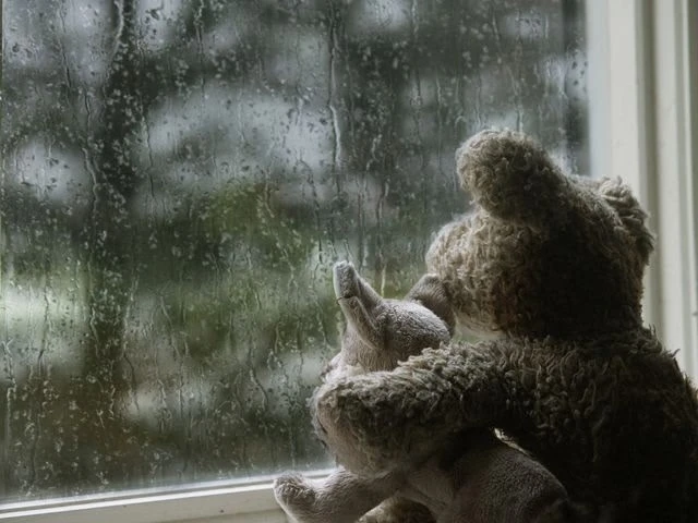 Мы привыкли ныть про холода,