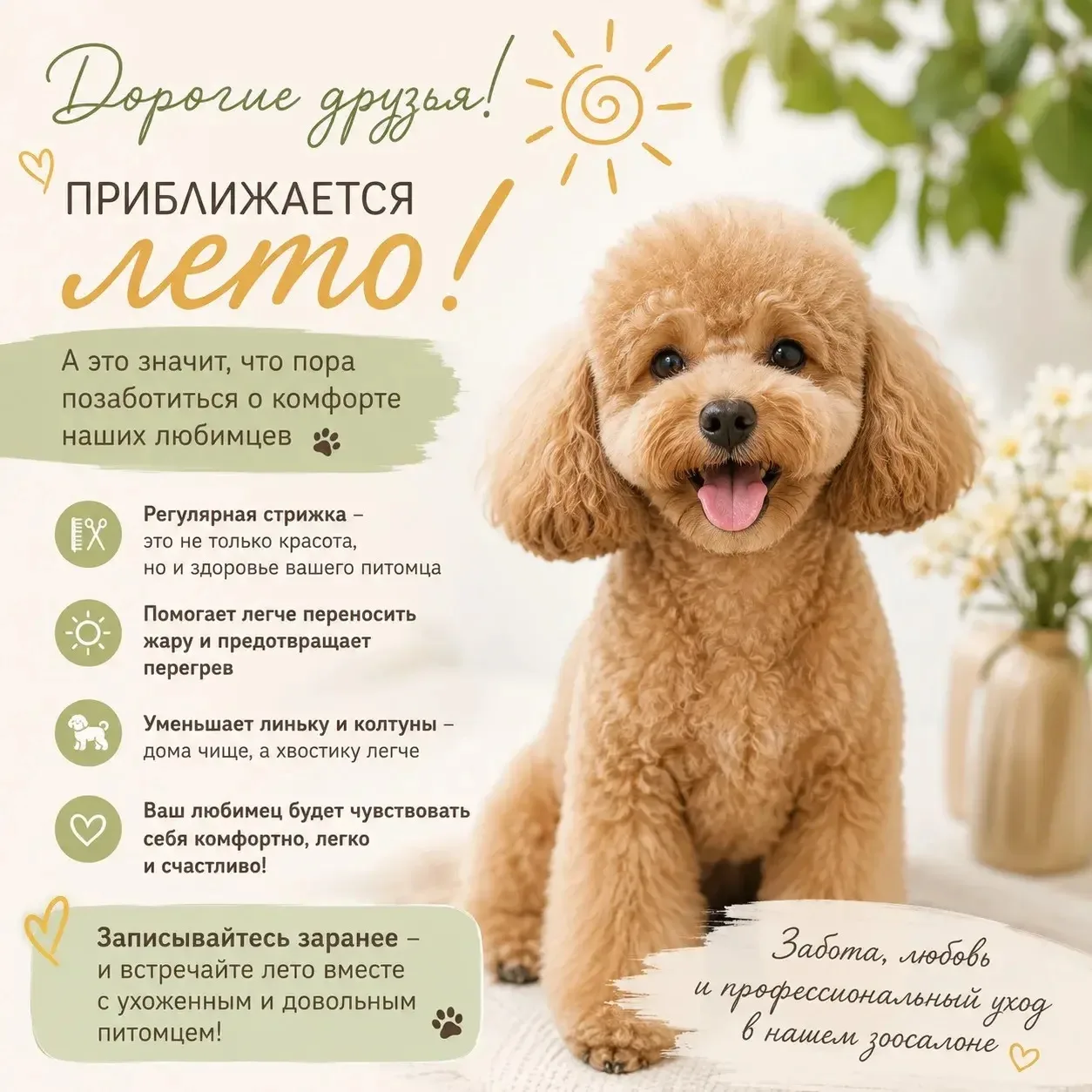 ☀️🐾 Дорогие друзья, приближается лето! 🐾☀️