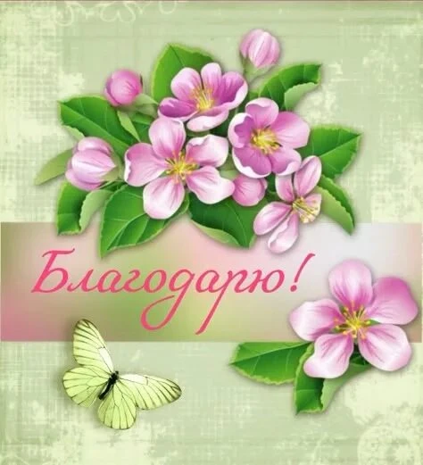 Огромное спасибо Алёне за авто помощь 💜