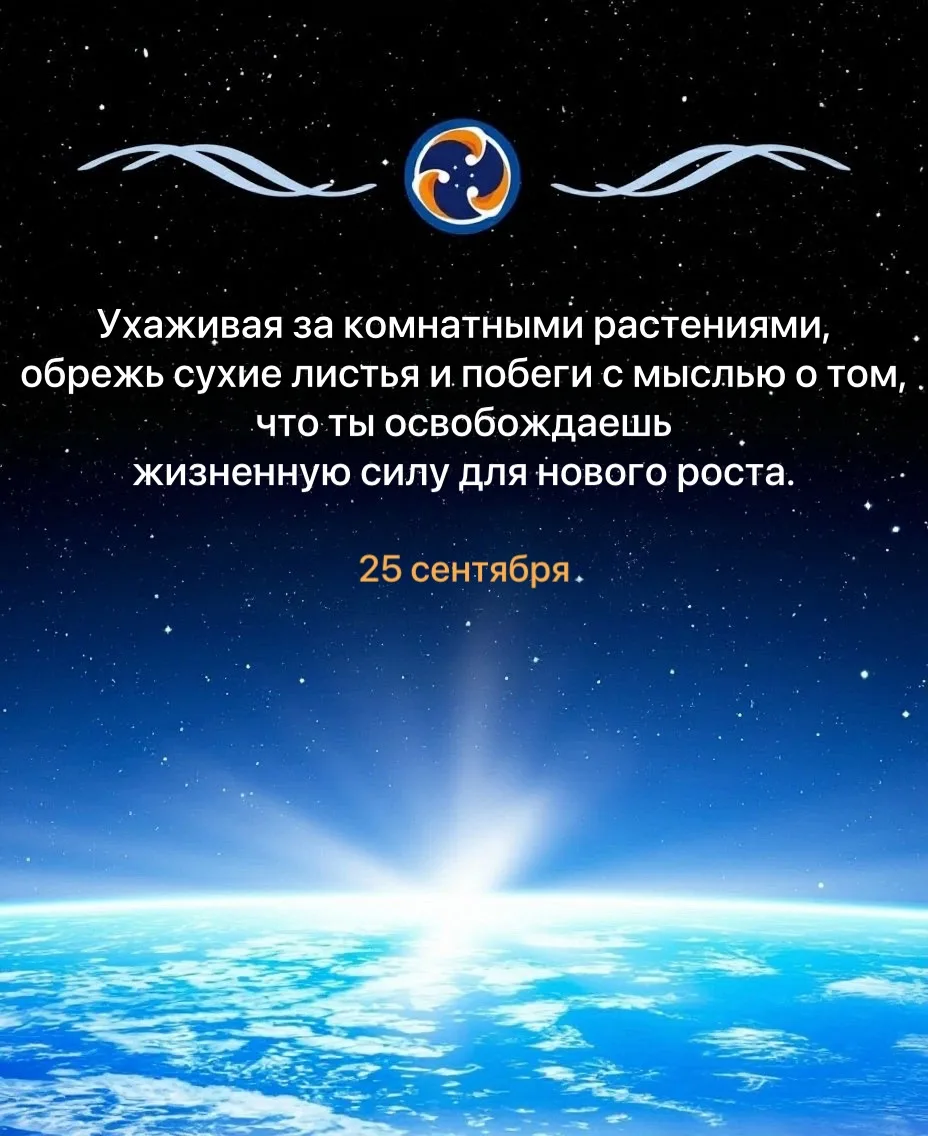 Рост как освобождение 🌿