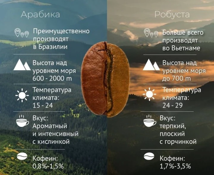 Вот такая разница в КОФЕ сорта