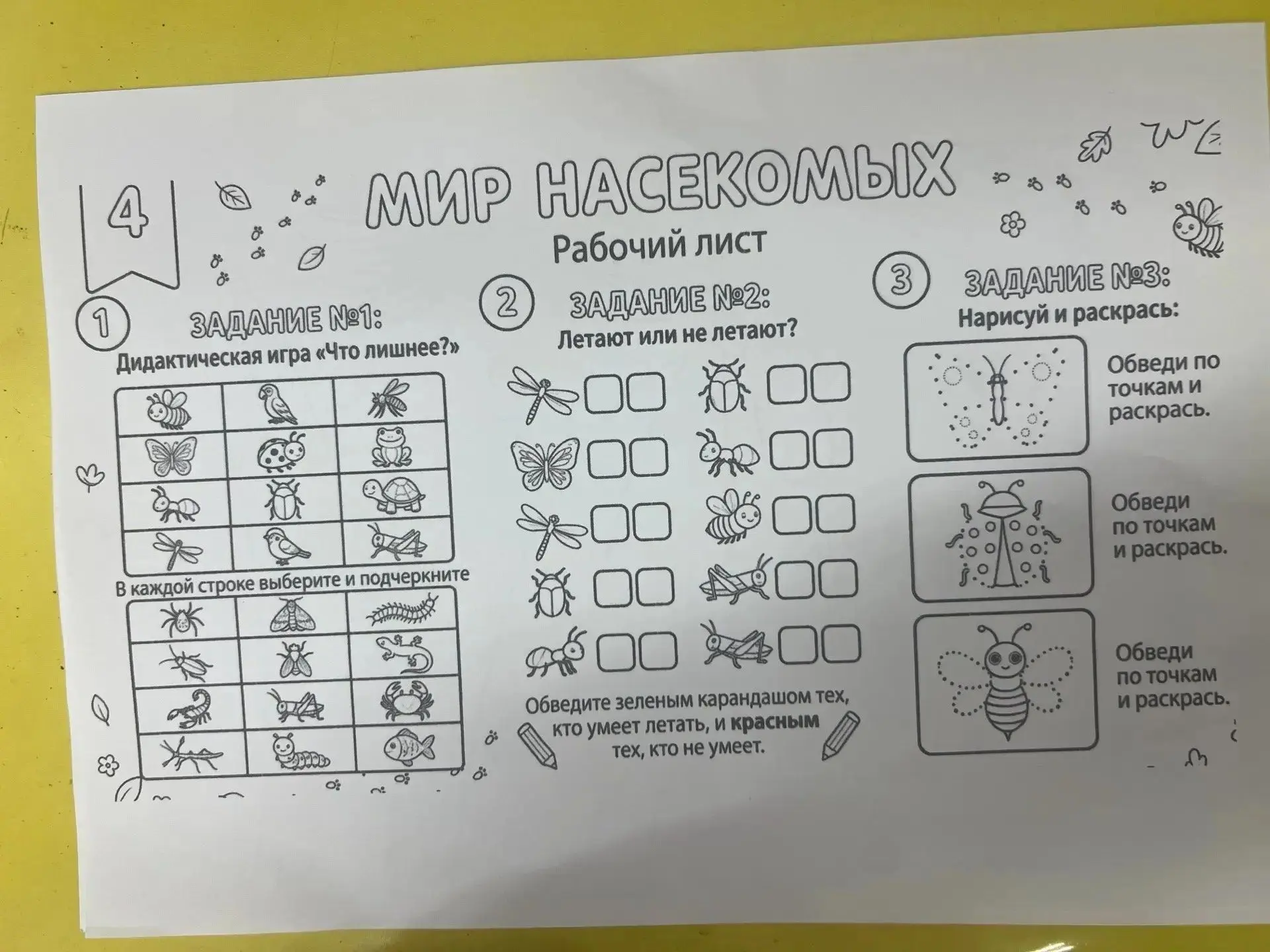 Экологическая неделя, связанная с насекомыми 🐞🐜🦋🐛🐌, продолжается на группе   Дельфинчики🐬🐬Реб