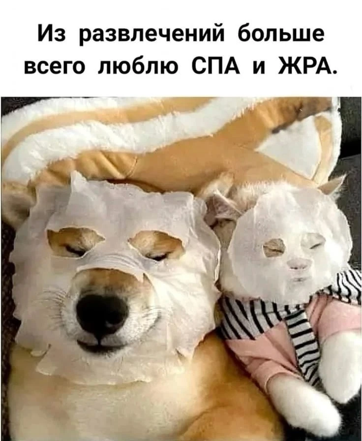 Подпишись, чтобы не потерять👇