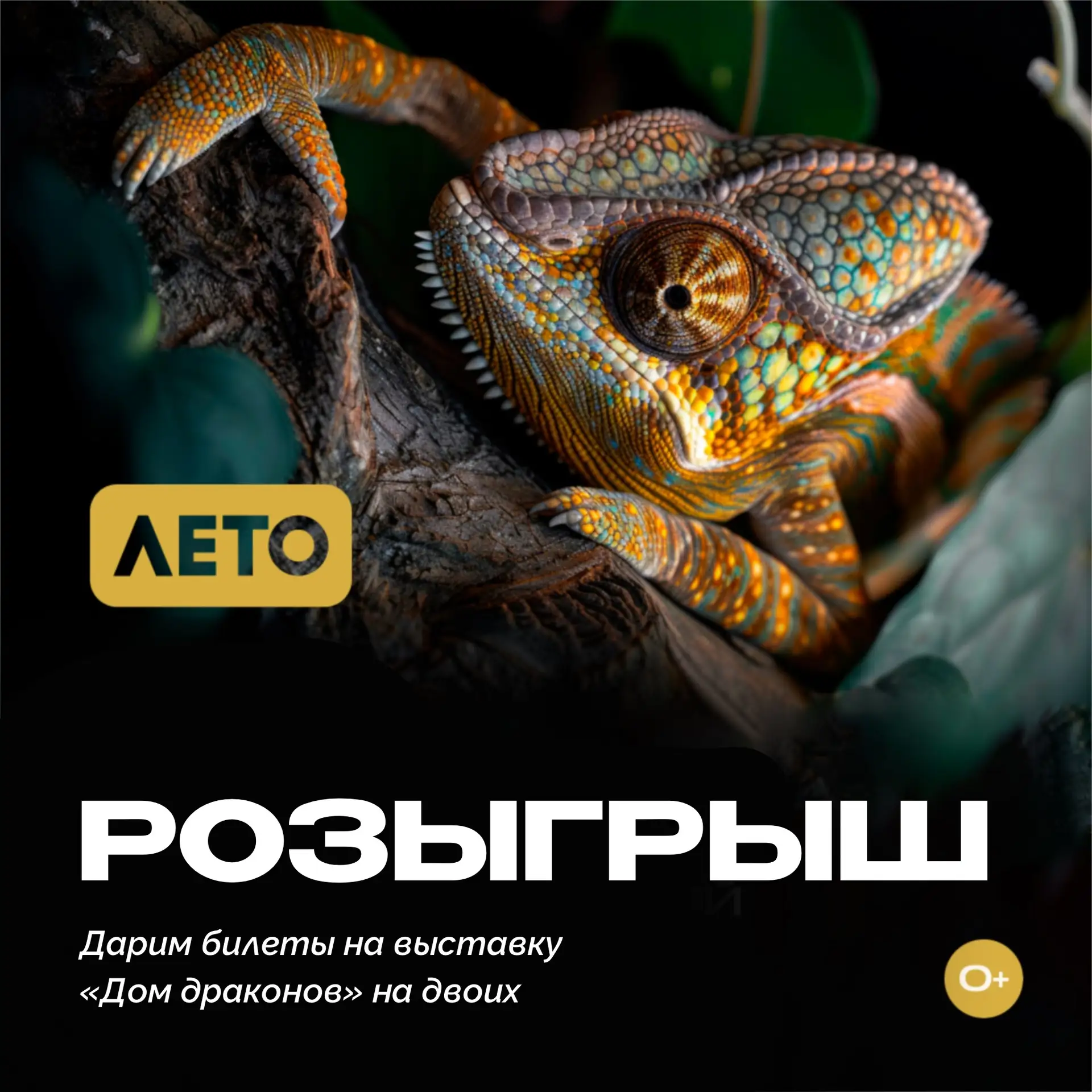Запустили розыгрыш билетов в мир драконов 🐲

Хорошие новости: у вас двойные шансы получить билеты н