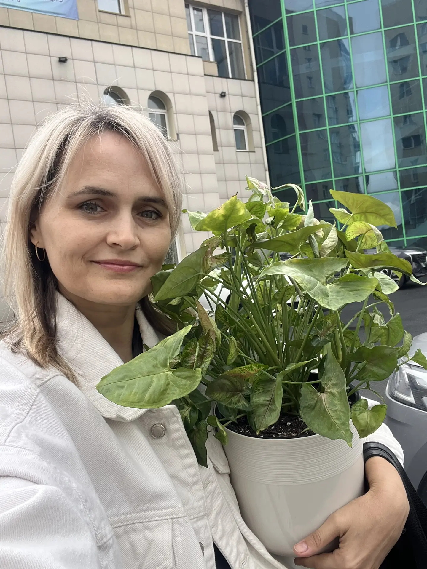 Привет 👋🏼! Я на работу сингониум принесла)