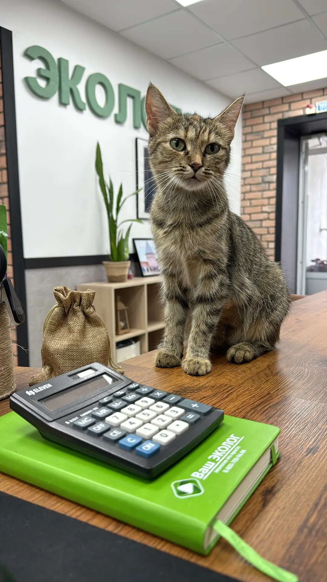 ЭКОТлогичный офис 💚