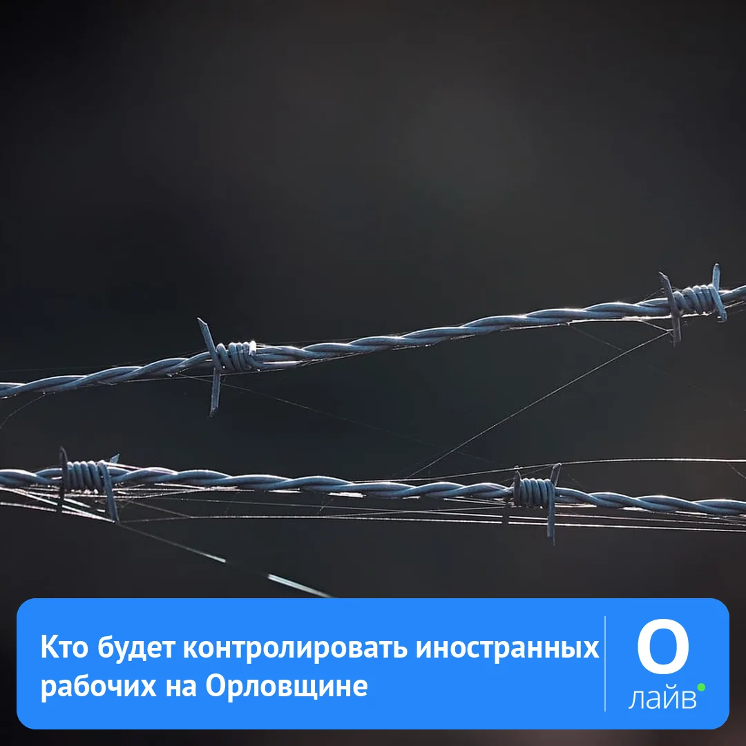 👮 Кто будет контролировать иностранных рабочих на Орловщине

Президент России подписал закон, котор
