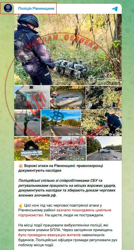 Репост из: ГЕРАНЬ: Черный ящик Ровно в полночь карета гражданское предприятие… — публикация канала «Хроники Гераней»