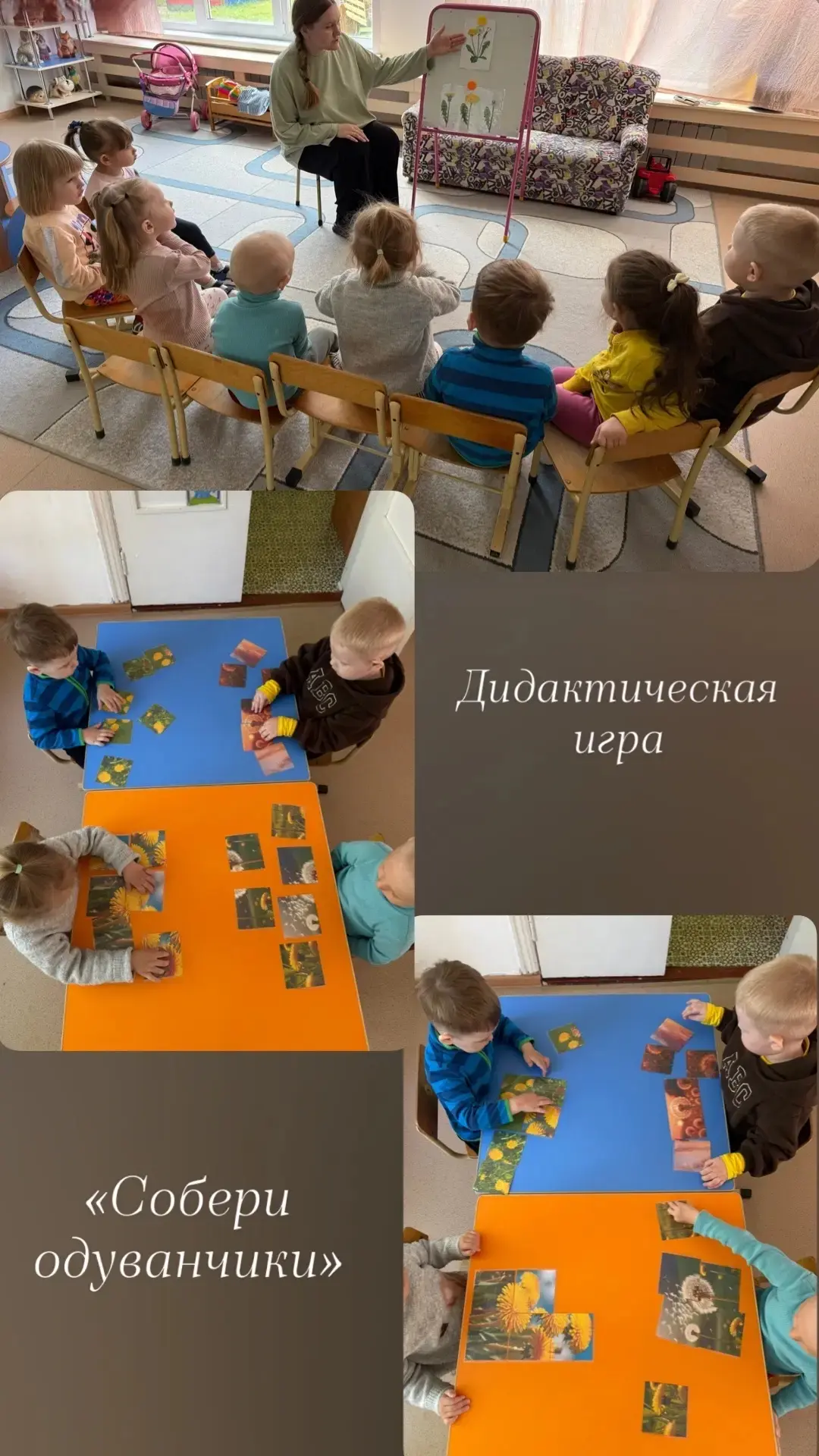 Одуванчики цветы