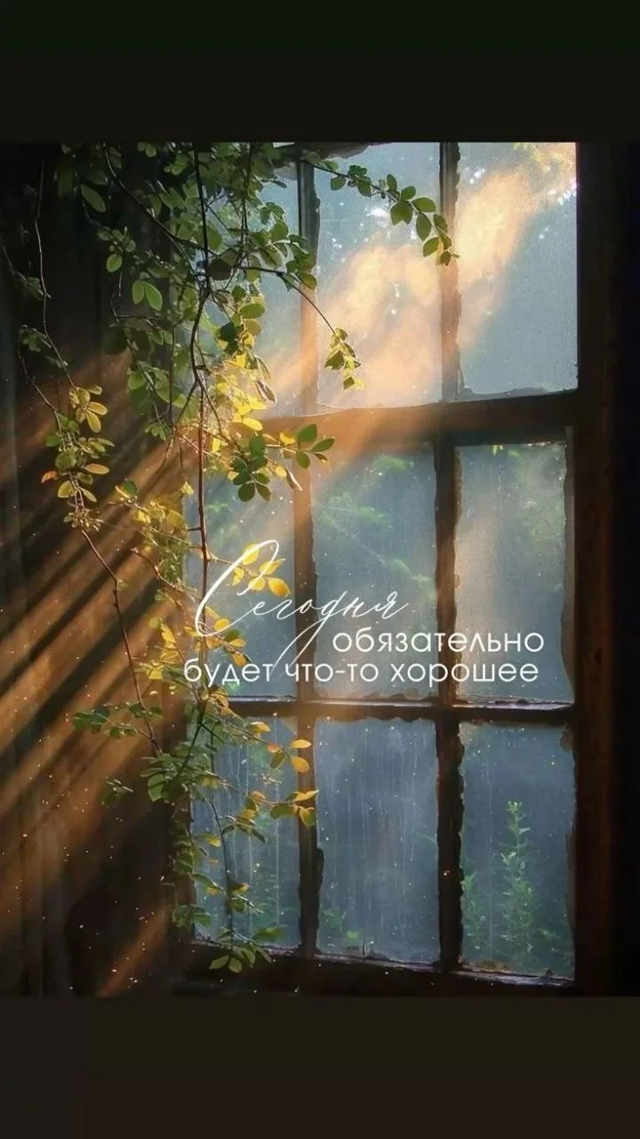 Доброго утра и отличного настроения ☀️
