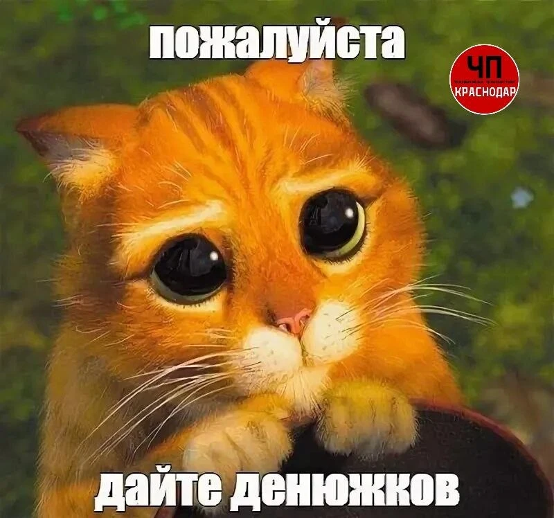 💰 Мэрия Краснодара ищет у кого занять 2,4 млрд рублей.

По условиям контракта, кредит нужен из-за д
