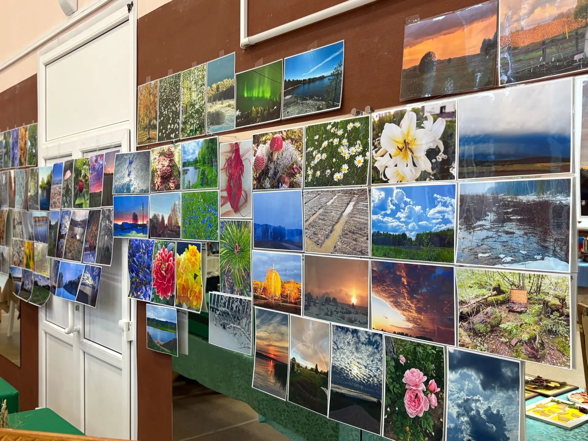 📸 Итоги фотоконкурса «Природа в фокусе».