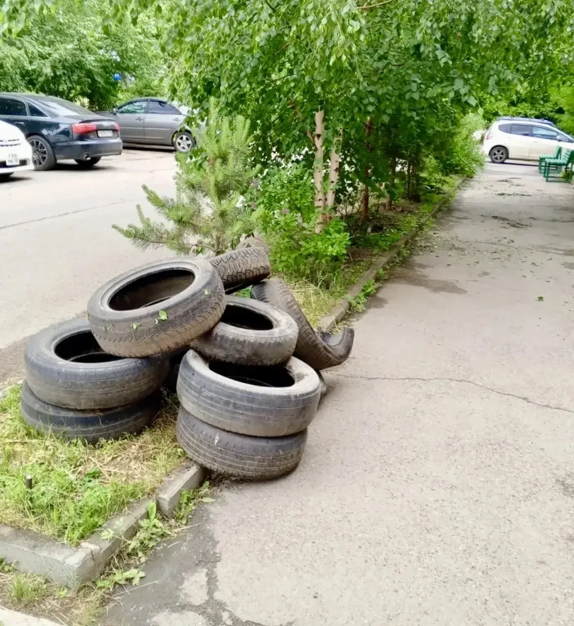 А у вас во дворе ещё цветут шины? 

Да-да, те самые старые покрышки, выкрашенные в яркий цвет, с пет