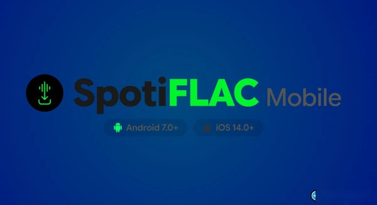 SpotiFLAC - Скачивайте музыку в формате FLAC без потерь качества с Tidal, Qobuz и Amazo...