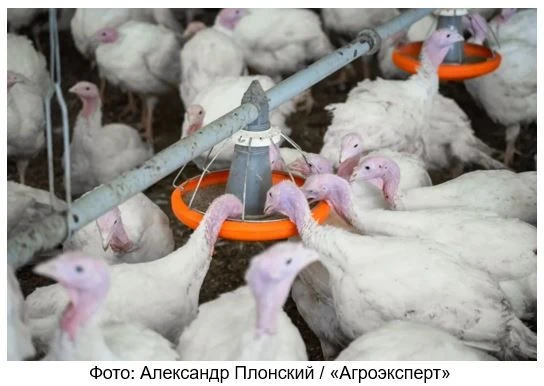 «Дамате» за полугодие увеличила в 1,8 раза прибыль до отчислений