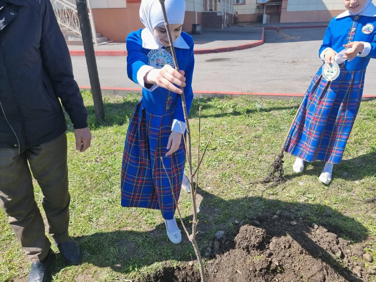 🌳 Акция «Посади дерево» 🌳