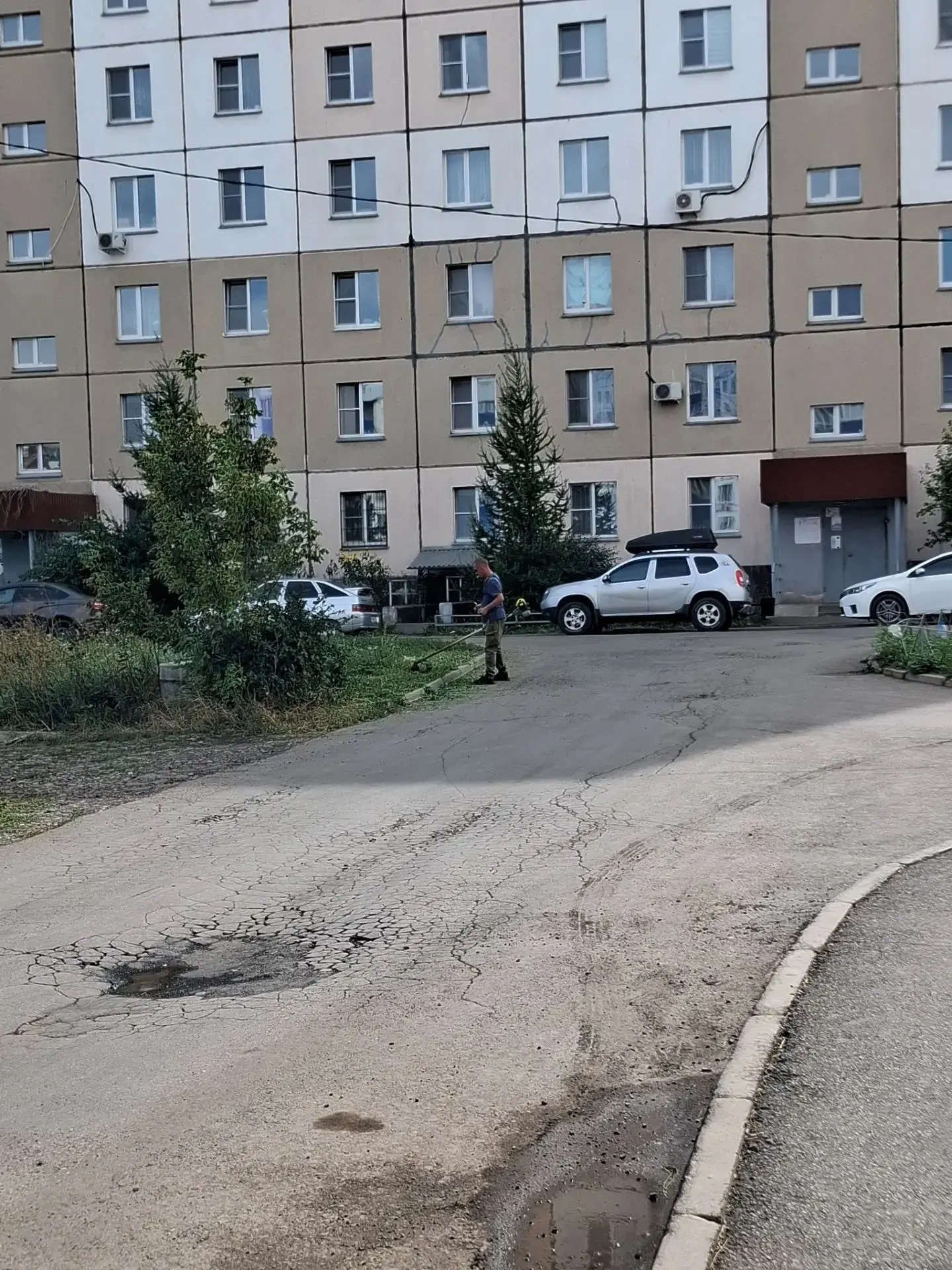 покос травы ул. Жукова, д. 31