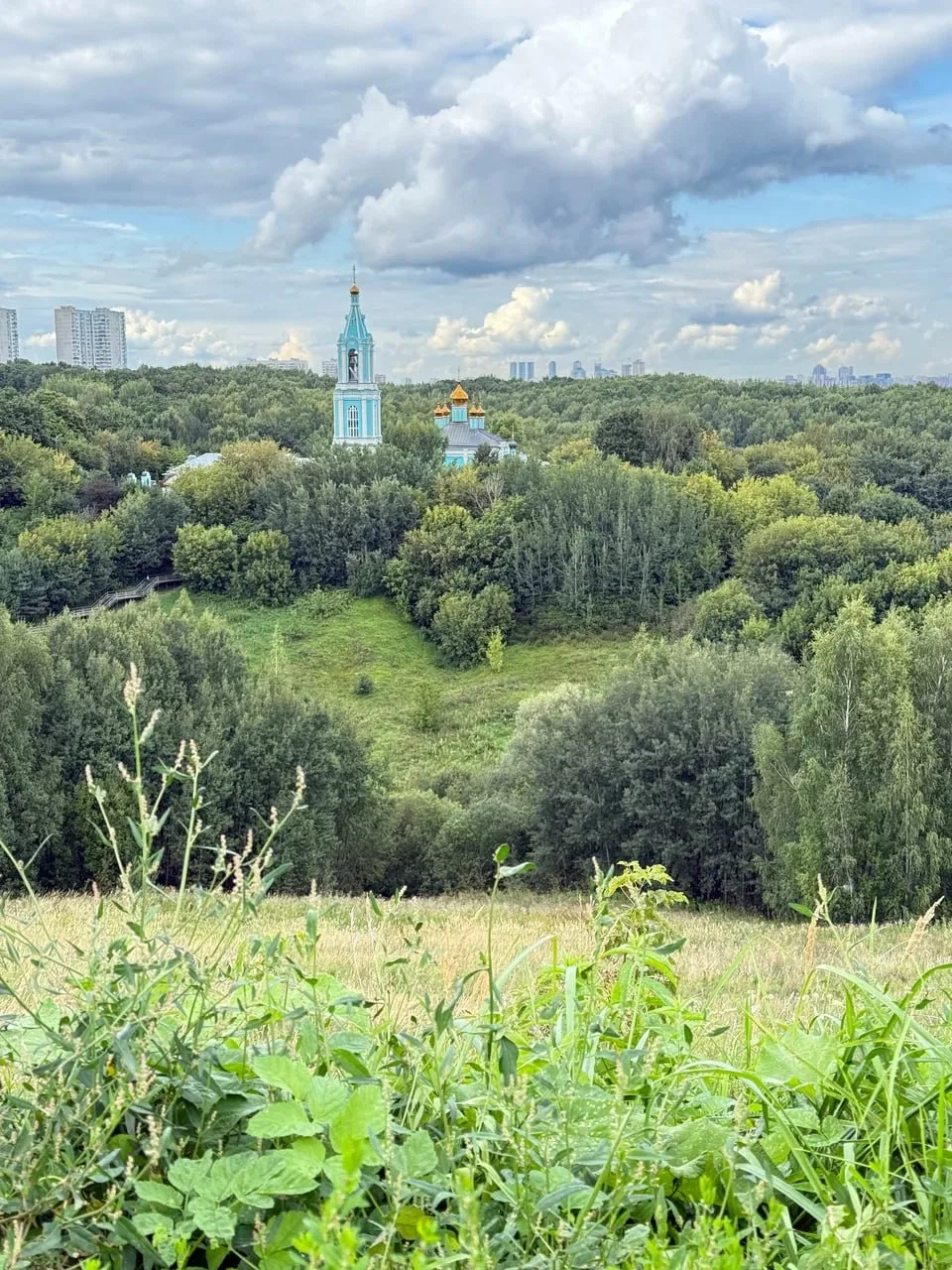 🌿 Место, где хочется гулять