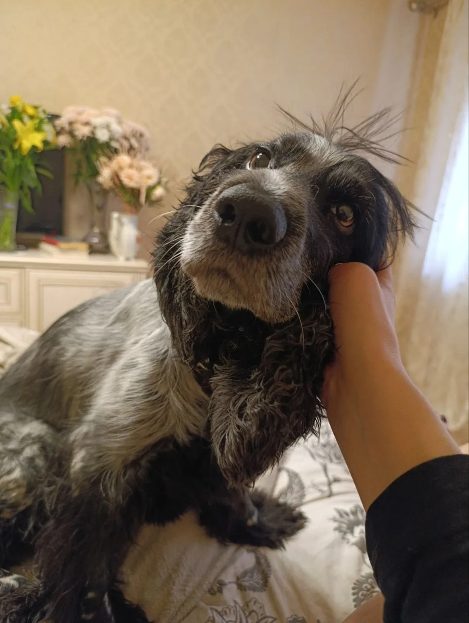 Животную вам вредную. 
Рожа, конечно. Прическа, конечно!
 
Хочется сдать в ижевскую школу номер пять