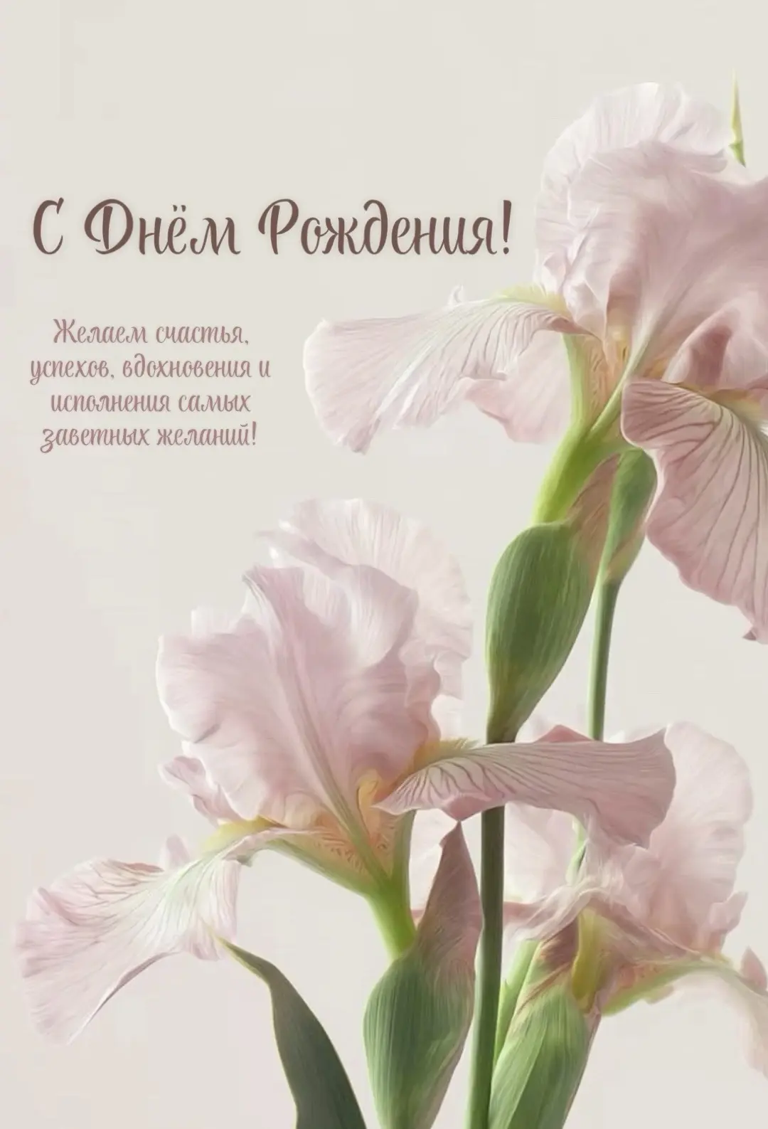 Поздравляем!