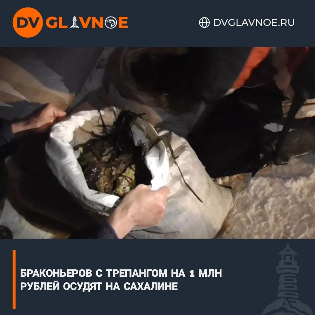 Трепанга выпустили в море, а браконьеров осудят

В Корсакове осудят браконьеров, добывших трепанга н