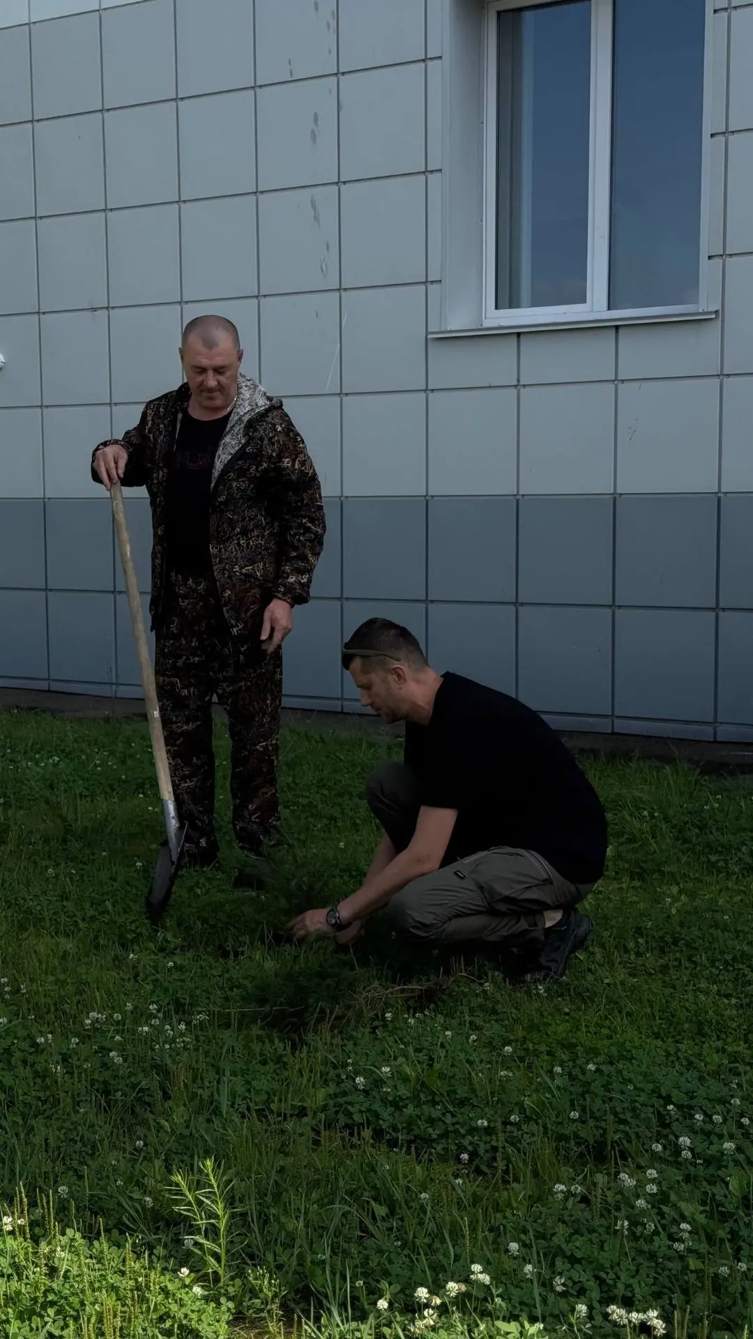 🌲 ПРОДОЛЖАЕМ ОЗЕЛЕНЯТЬ ТЕРРИТОРИЮ БОЛЬНИЦЫ