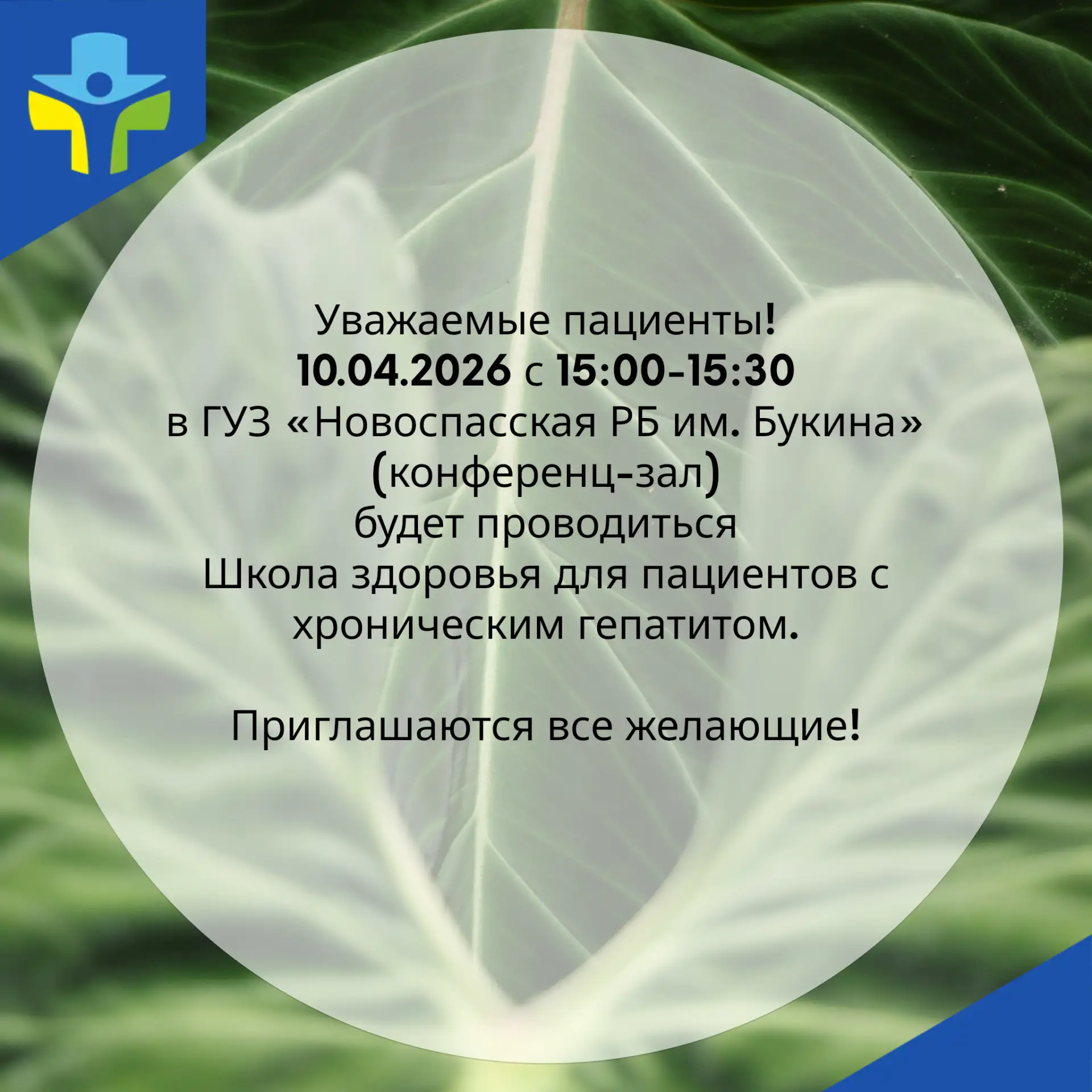 Школа здоровья для пациентов с хроническим гепатитом.