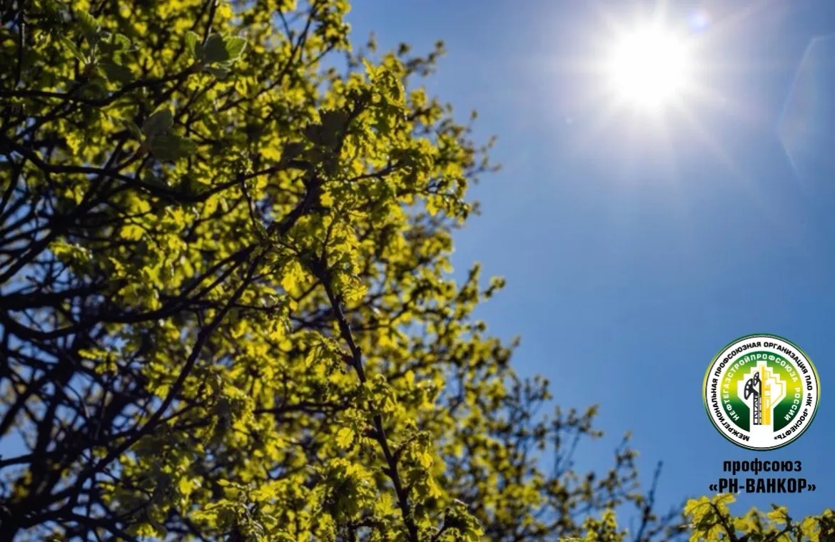 ☀️ Сегодня — день летнего солнцестояния!

🙌 Пусть этот светлый летний день принесёт каждому заряд э