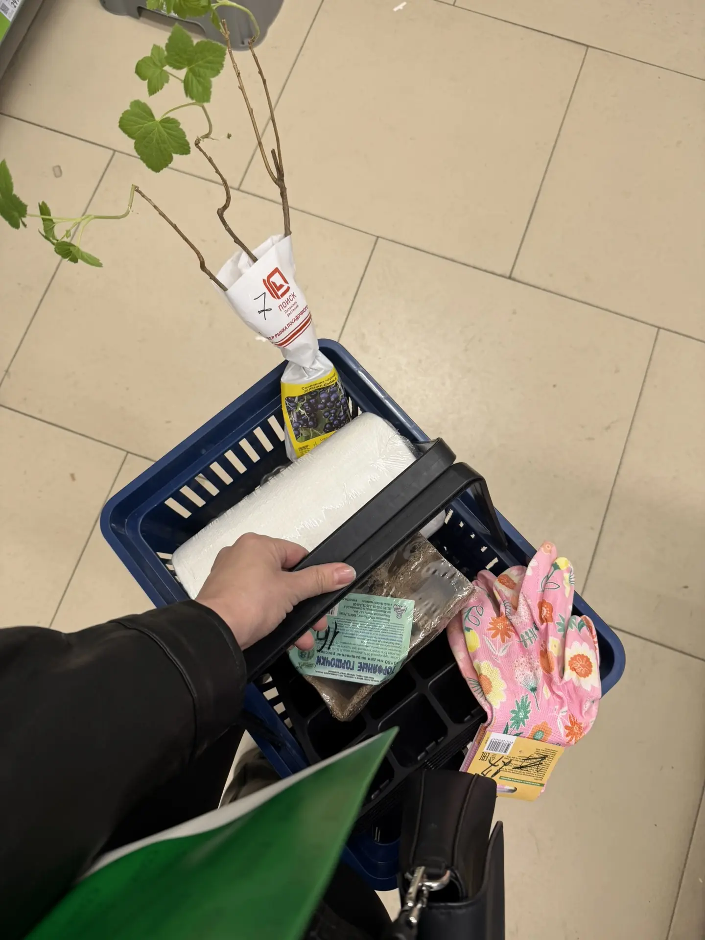 У Юрьевны началось весеннее обострение снова тянет к земле, 
к цветам и рассаде! 😊

Честно признаюс