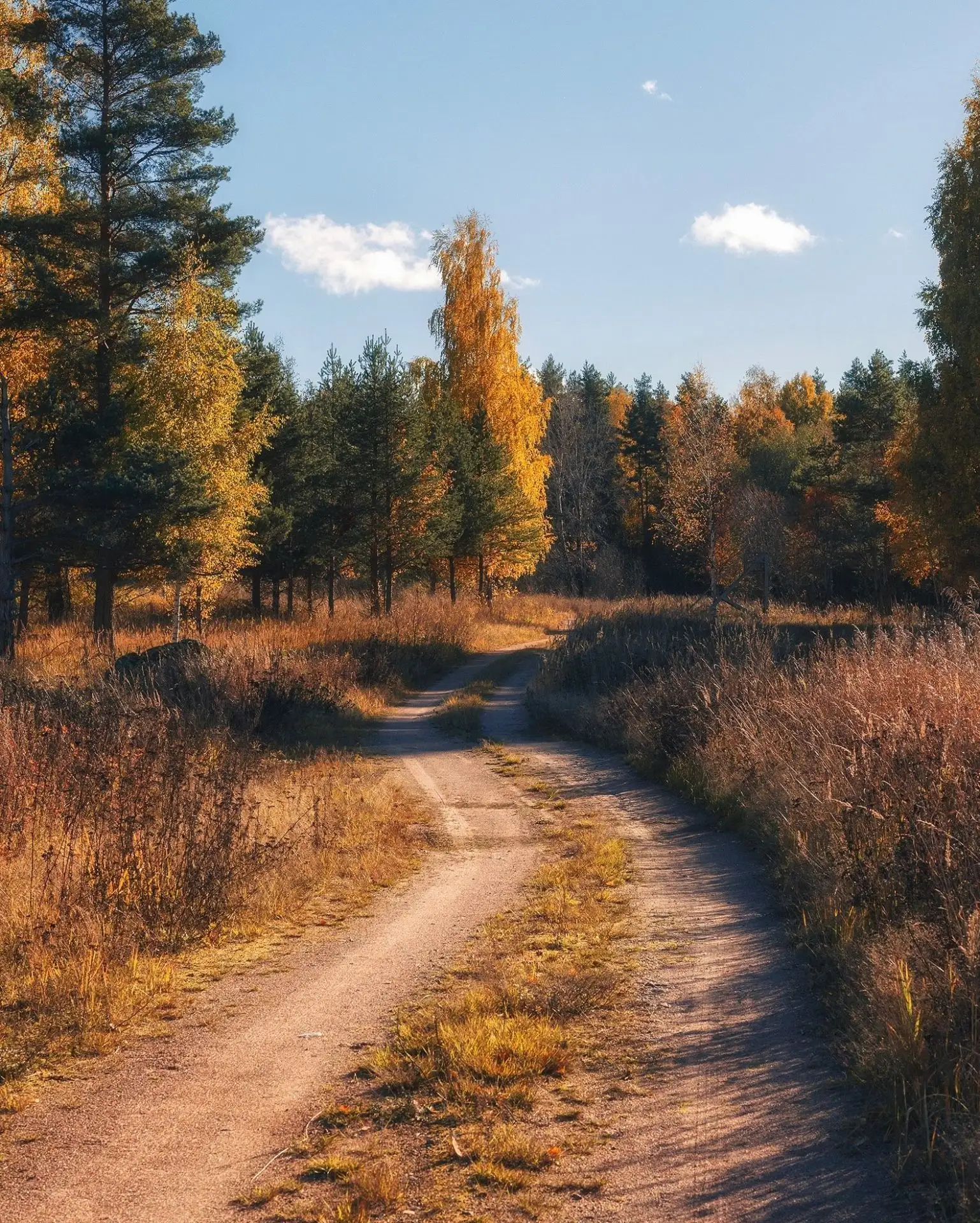 Подборка моих любимых осенних кадров 💛 Карелия. Какое фото нравится вам больше 1,2,3.....