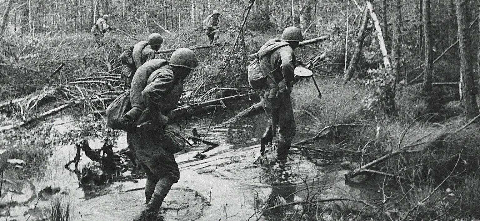 22 июля 1943 года началась Мгинская операция.
Участок местности за «Невским плацдармом» между берего