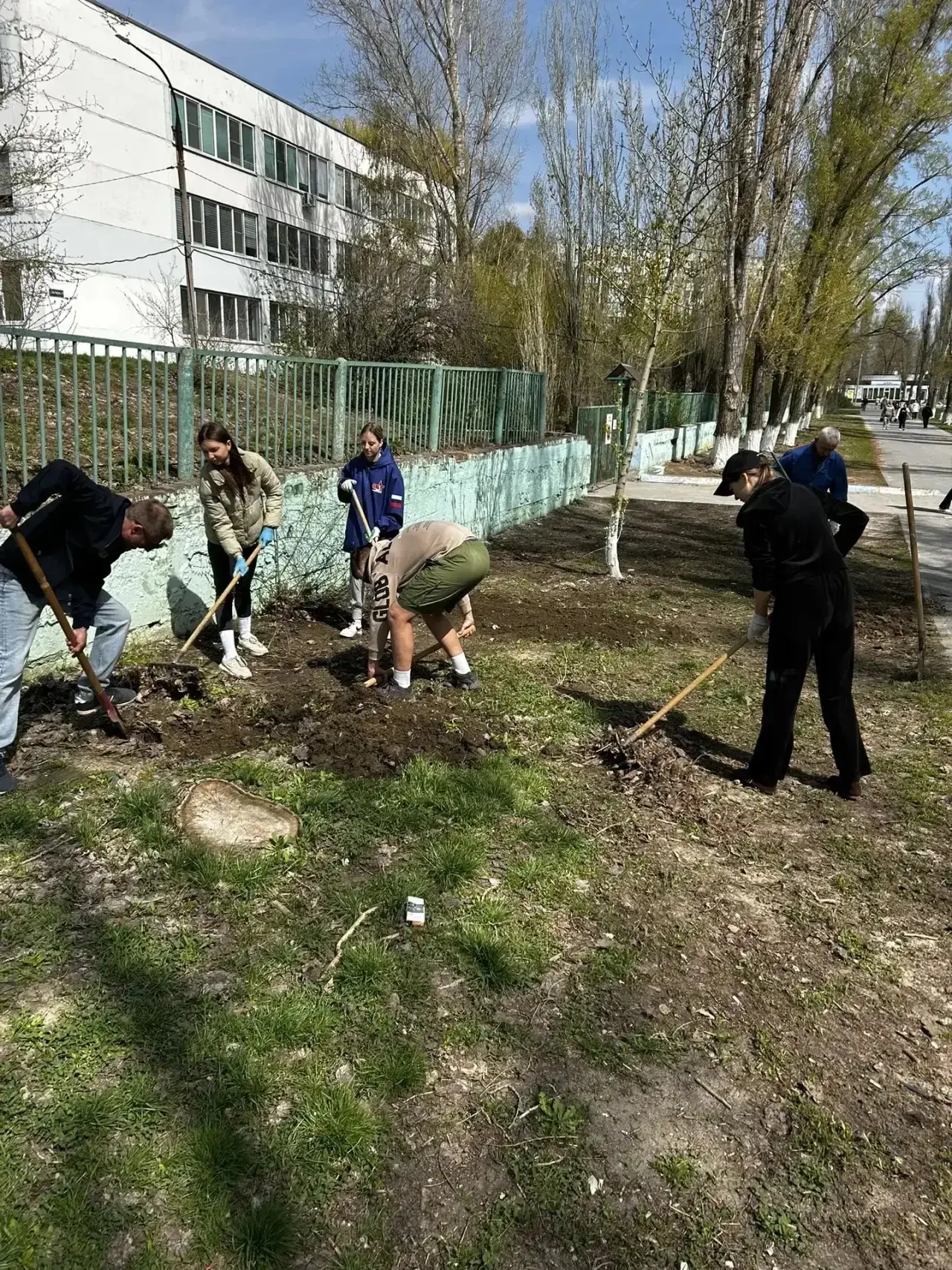✨ Учителя МОУ СШ №5 приняли активное участие в общегородском субботнике! ✨ Сегодня наши педагоги вме