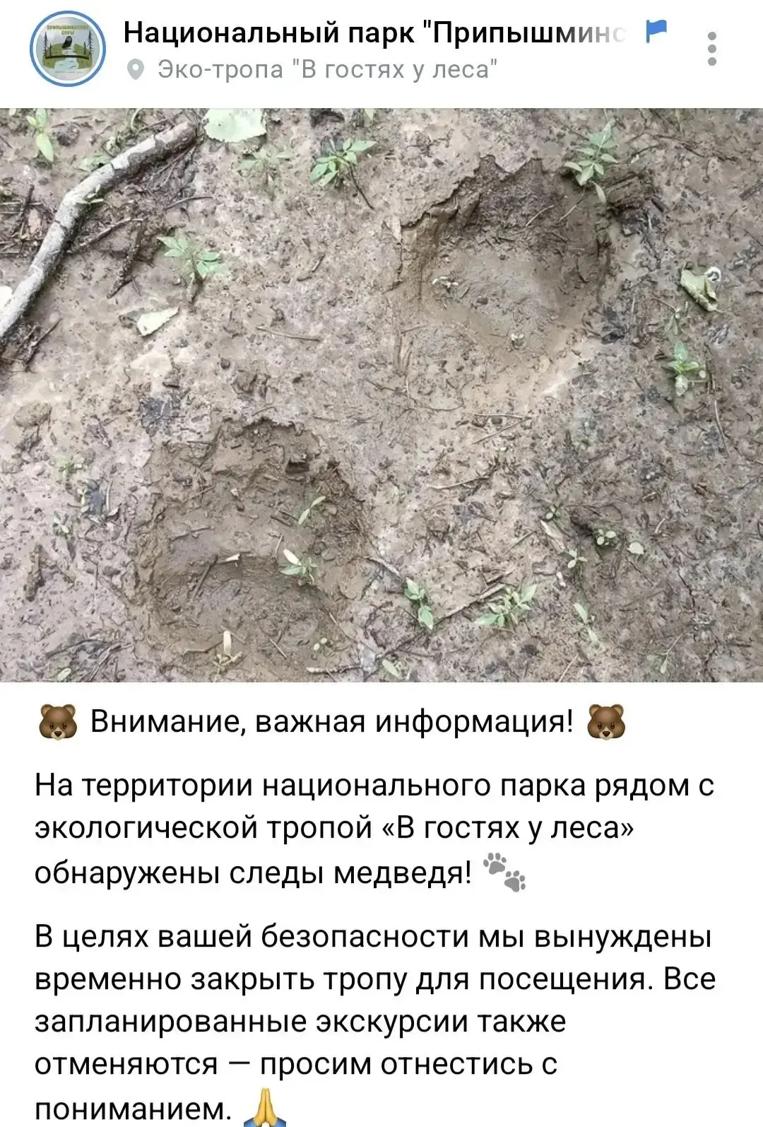 🐻 Внимание, важная информация! 🐻