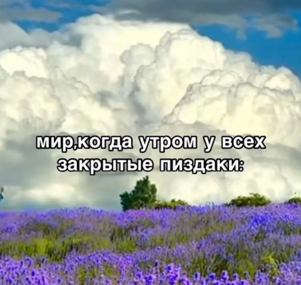 Ты знаешь кому отправить